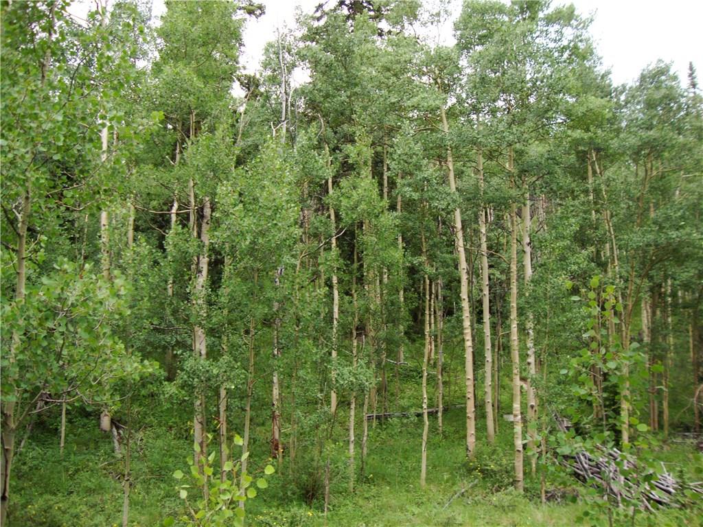 37 Mine Road Alma, CO 80420 - Photo 2 of 24 Gallery Image 2