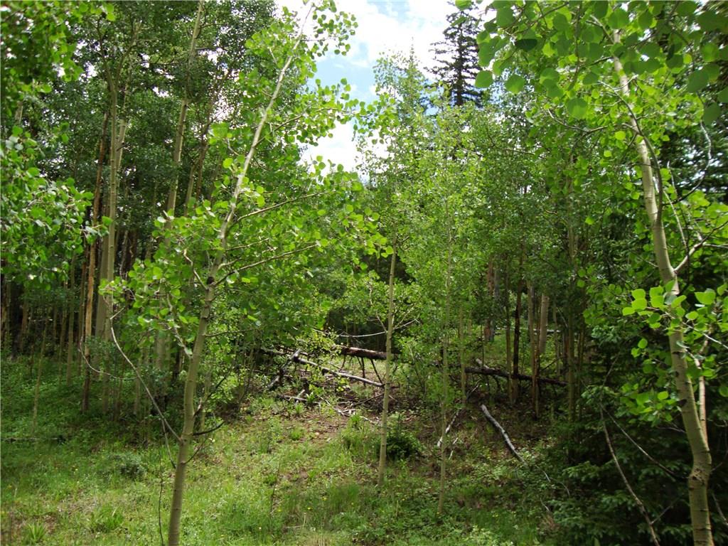 37 Mine Road Alma, CO 80420 - Photo 18 of 24 Gallery Image 18