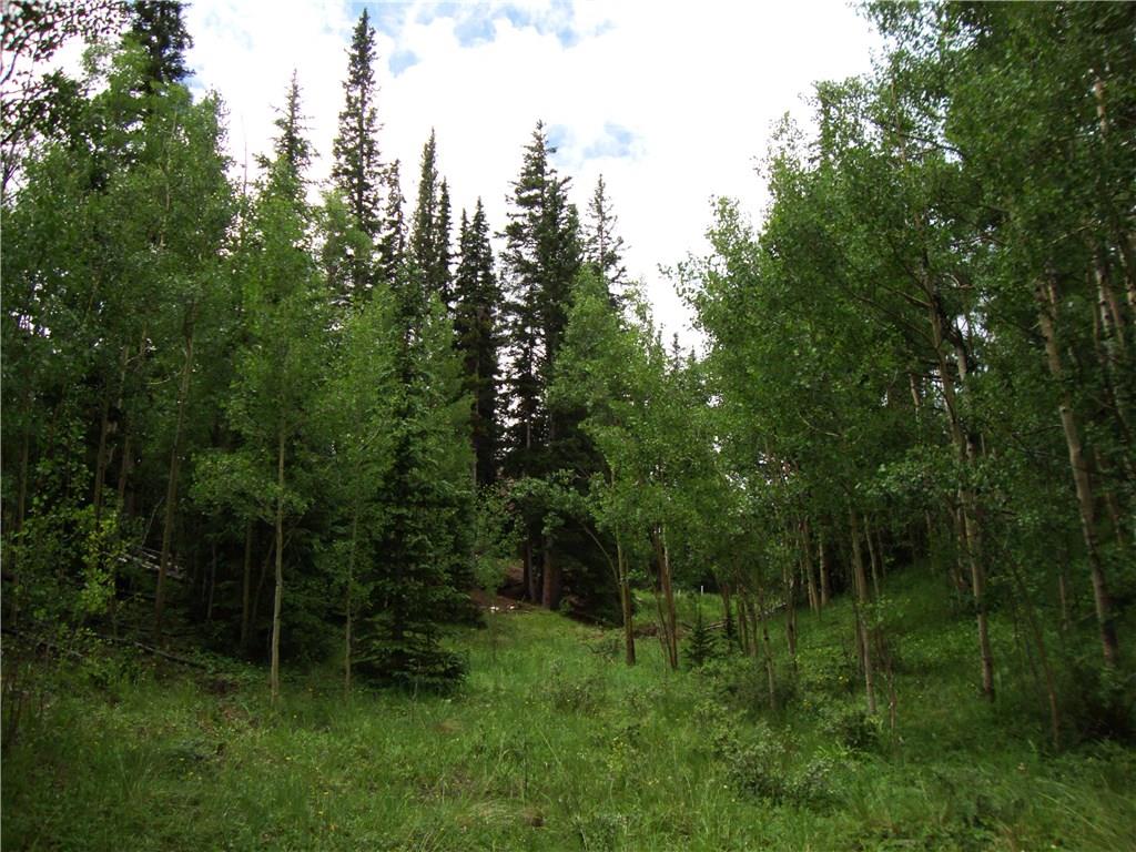 37 Mine Road Alma, CO 80420 - Photo 19 of 24 Gallery Image 19