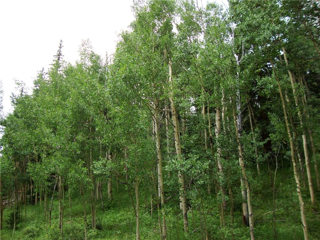 37 Mine Road Alma, CO 80420 - Photo 20 of 24 Gallery Image 20