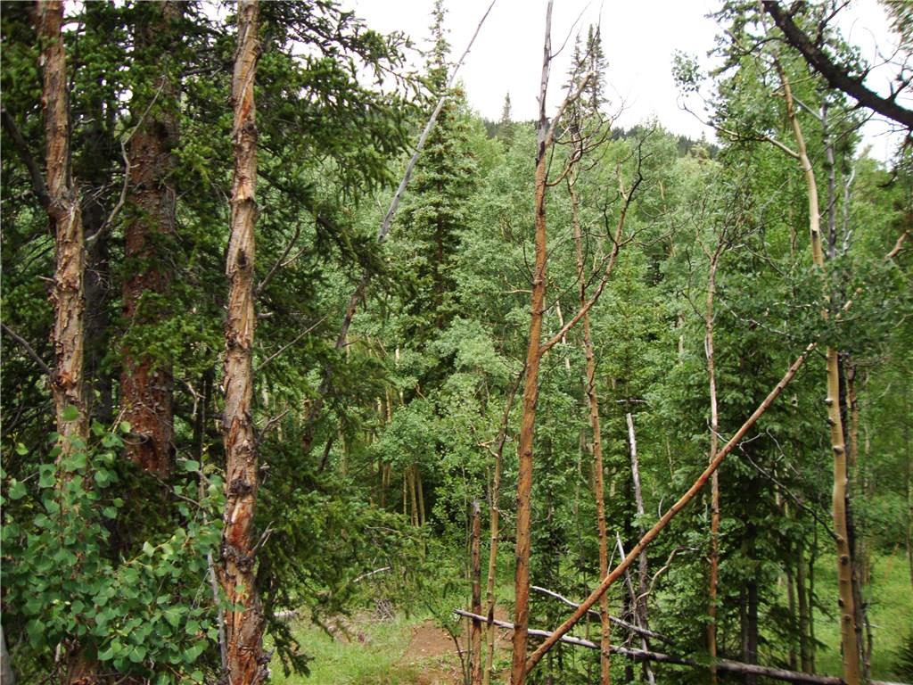 37 Mine Road Alma, CO 80420 - Photo 3 of 24 Gallery Image 3