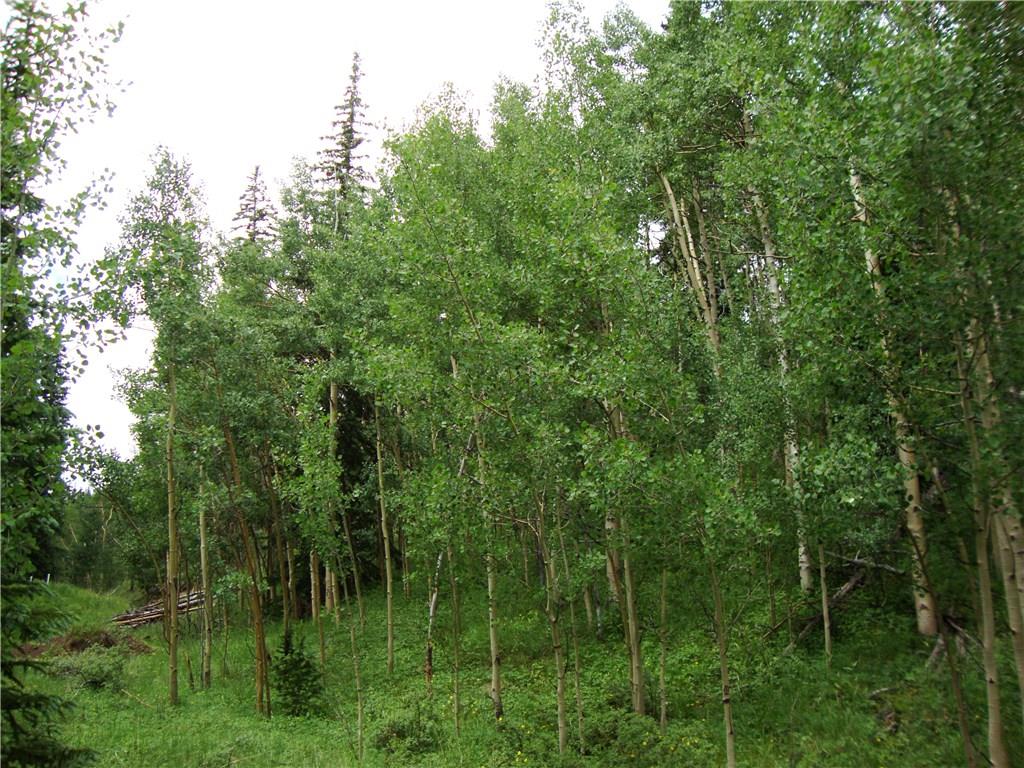 37 Mine Road Alma, CO 80420 - Photo 21 of 24 Gallery Image 21