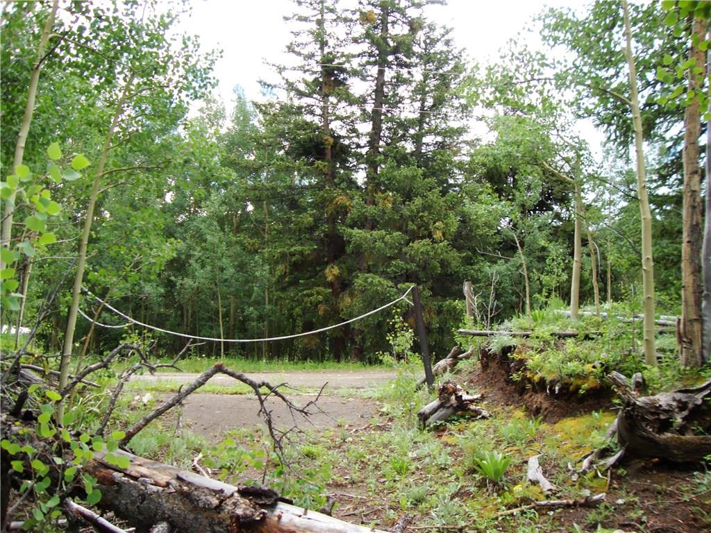 37 Mine Road Alma, CO 80420 - Photo 22 of 24 Gallery Image 22