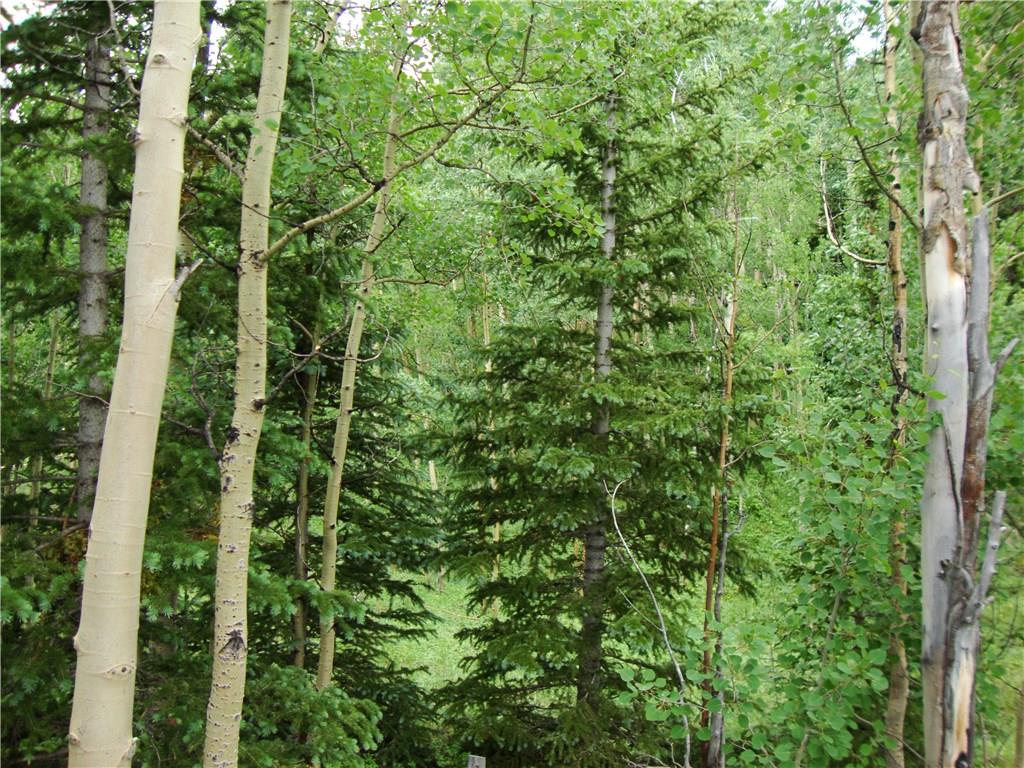 37 Mine Road Alma, CO 80420 - Photo 23 of 24 Gallery Image 23