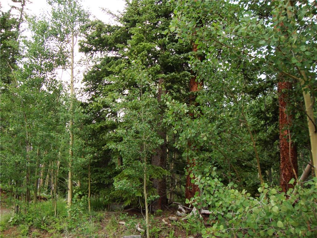 37 Mine Road Alma, CO 80420 - Photo 24 of 24 Gallery Image 24