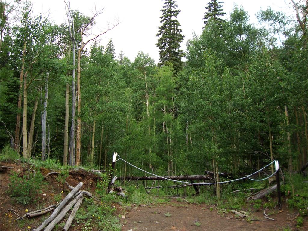 37 Mine Road Alma, CO 80420 - Photo 4 of 24 Gallery Image 4