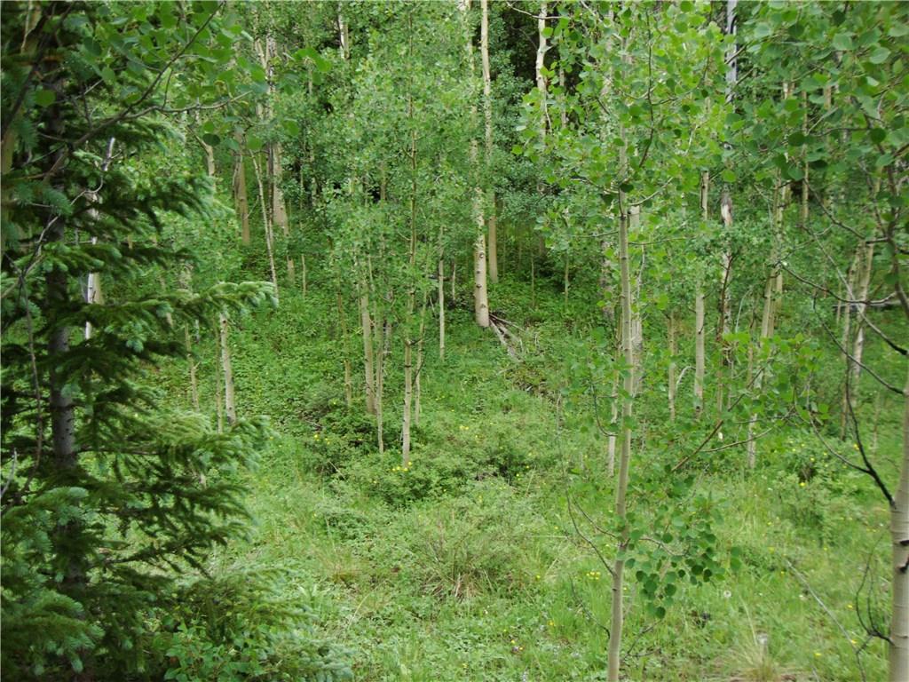 37 Mine Road Alma, CO 80420 - Photo 6 of 24 Gallery Image 6