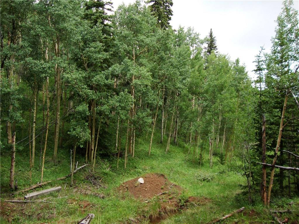 37 Mine Road Alma, CO 80420 - Photo 7 of 24 Gallery Image 7