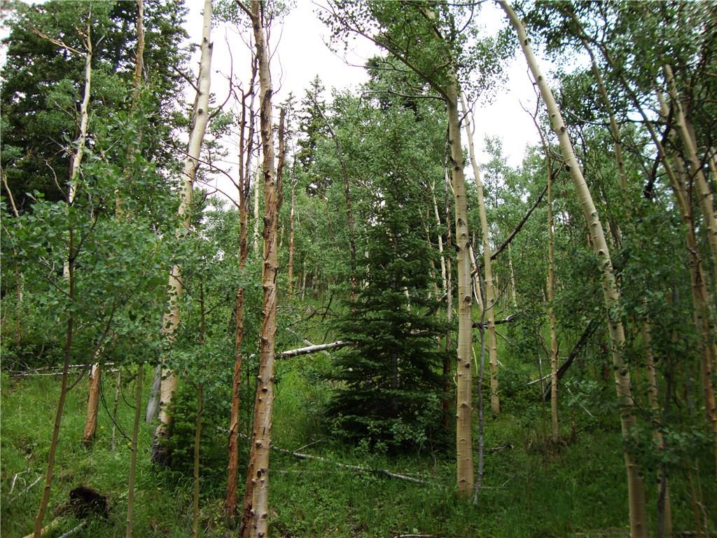 37 Mine Road Alma, CO 80420 - Photo 8 of 24 Gallery Image 8