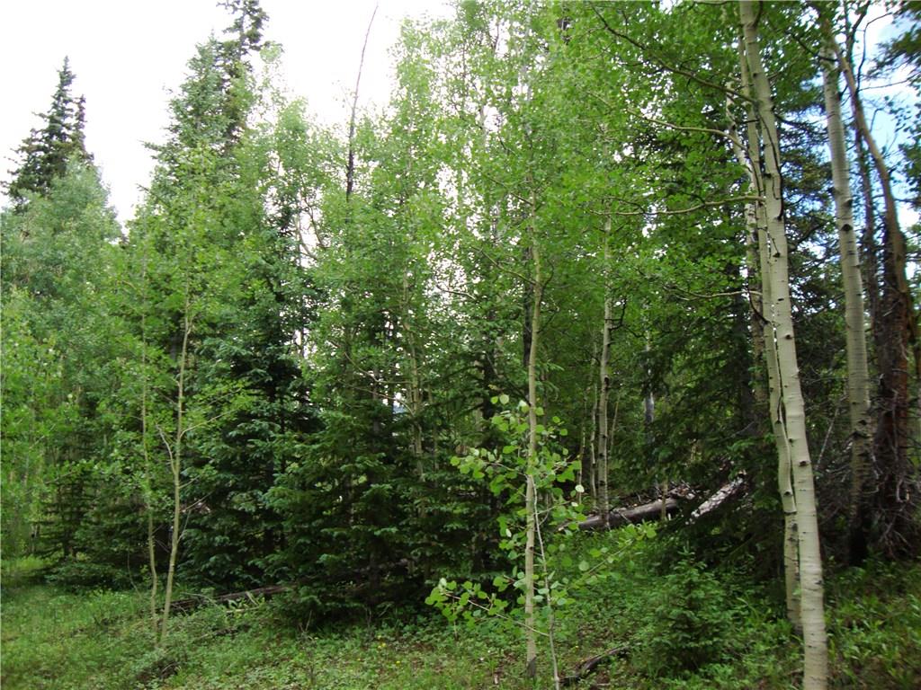 37 Mine Road Alma, CO 80420 - Photo 10 of 24 Gallery Image 10
