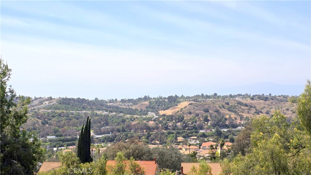 21355 Chirping Sparrow Road Diamond Bar, CA 91765 - Photo 32 of 35