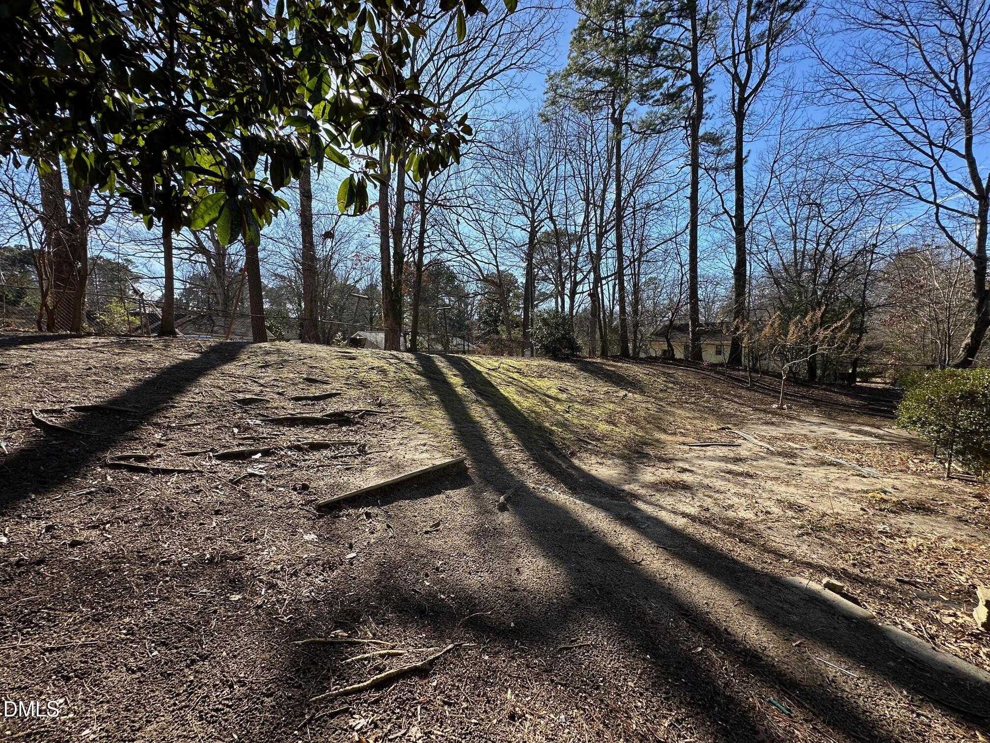 1304 Seabrook Road Raleigh, NC 27610 - Photo 18 of 19 a view of a backyard of the house