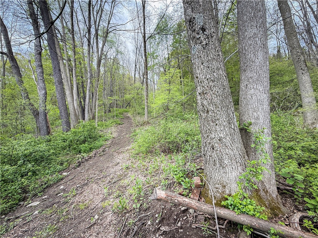 5360 Church Road Moravia, NY 13118 - Photo 43 of 50