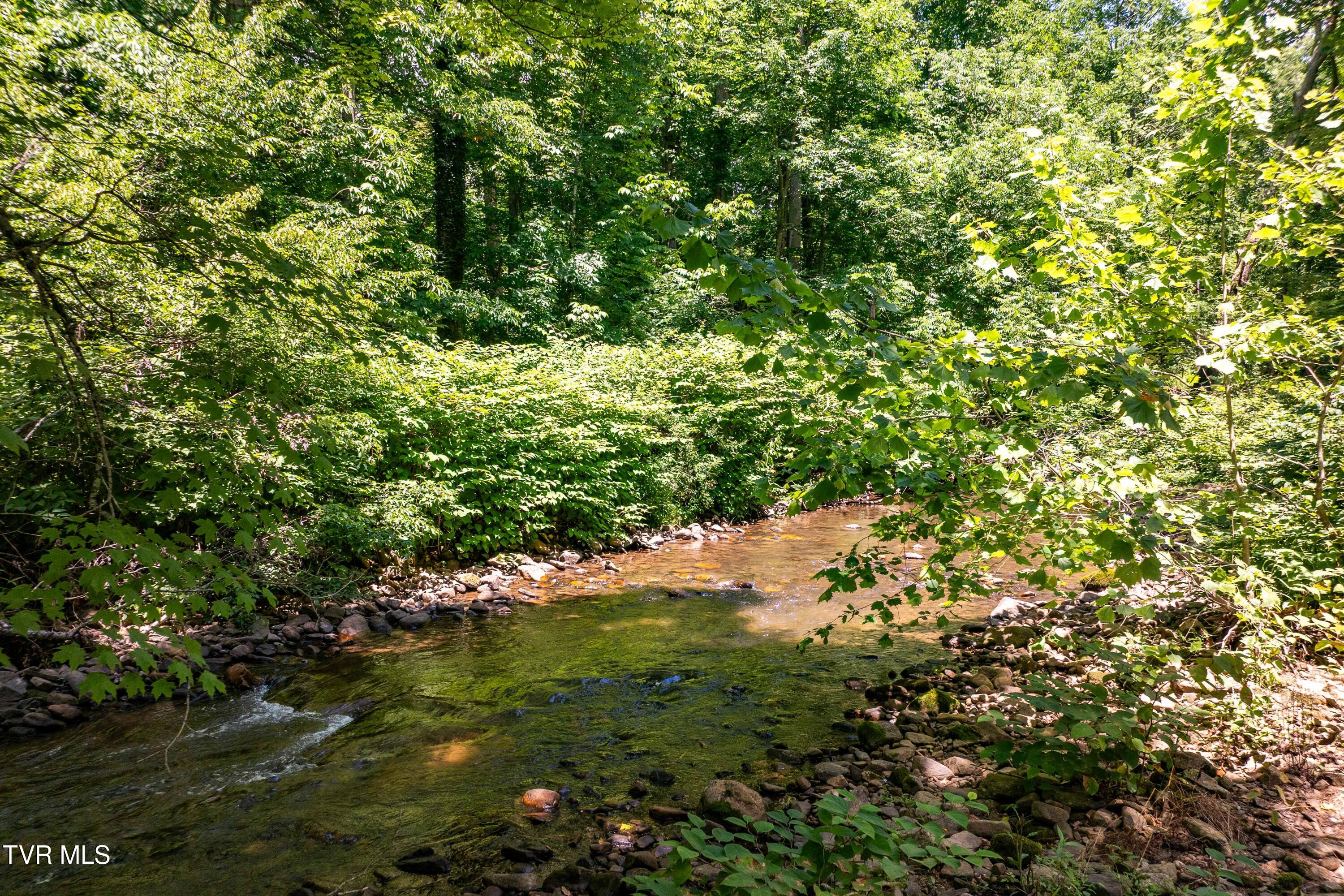 135 Grindstaff Hollow Road Elizabethton, TN 37643 - Photo 53 of 116 135 Grindstaff Hollow (16 of 83)