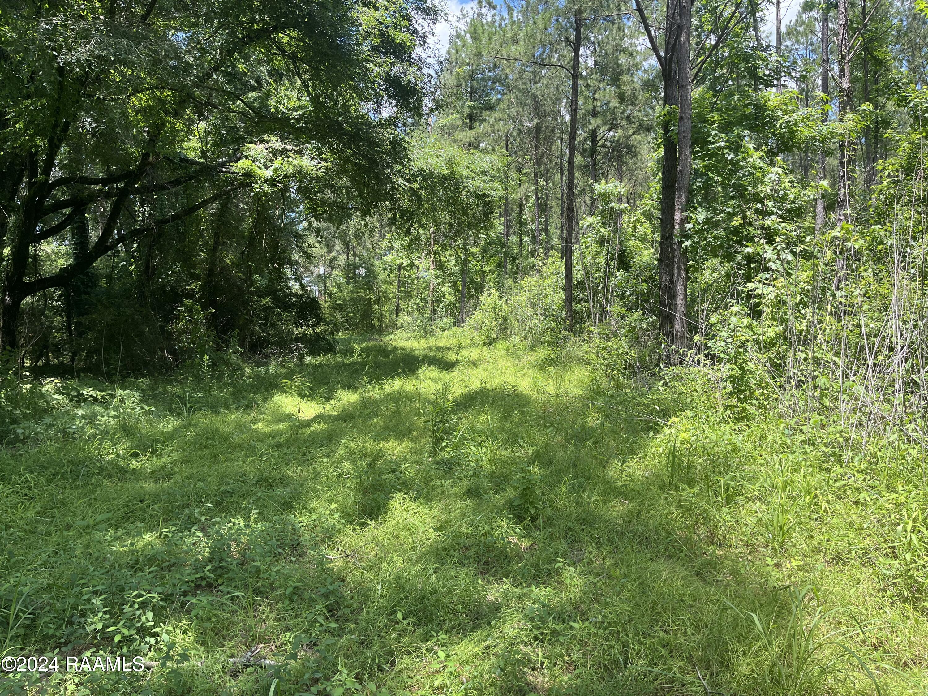 0 Herbert Ortego Road Washington, LA 70589 - Photo 4 of 18