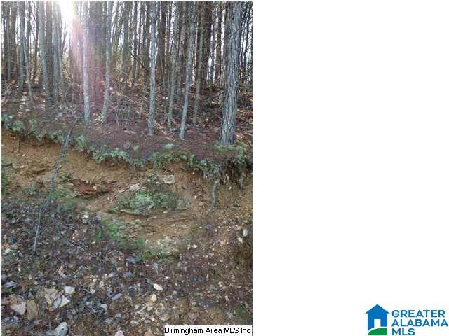 0 Henderson Lake Road, Unit 128 Munford, AL 36268 - Photo 5 of 31