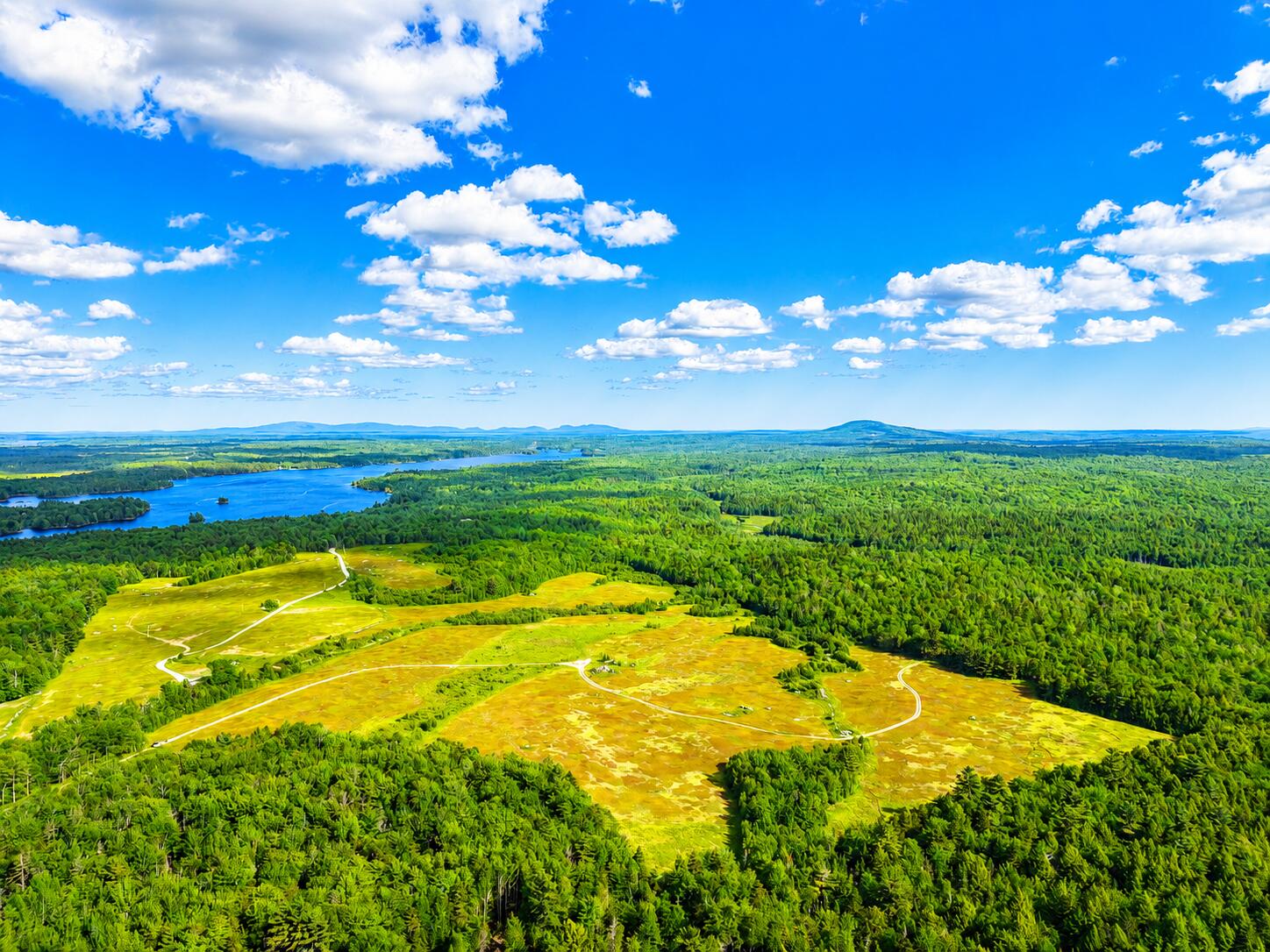 Map19-lot28 Leach Road Penobscot, ME 04476 - Photo 14 of 16 MAP19LOT28 Leach Road