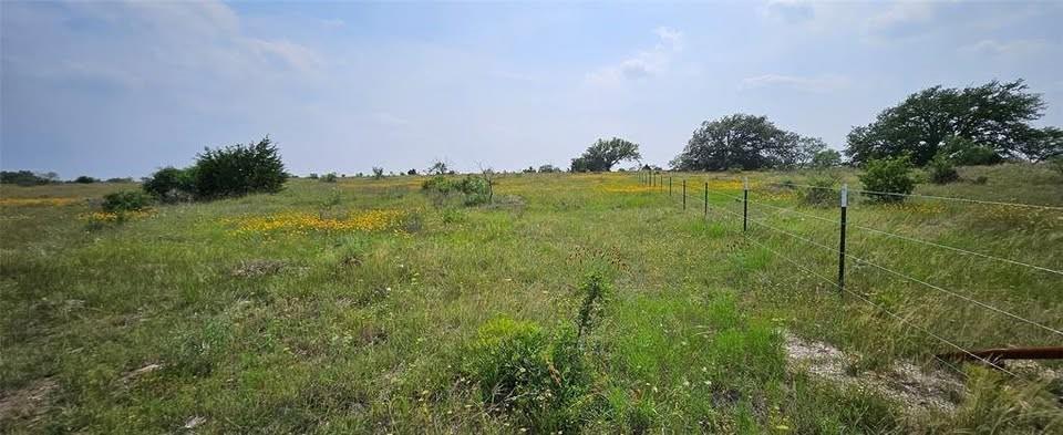 Tbd Starks Road Mason, TX 76856 - Photo 5 of 6 a view of a garden from a yard