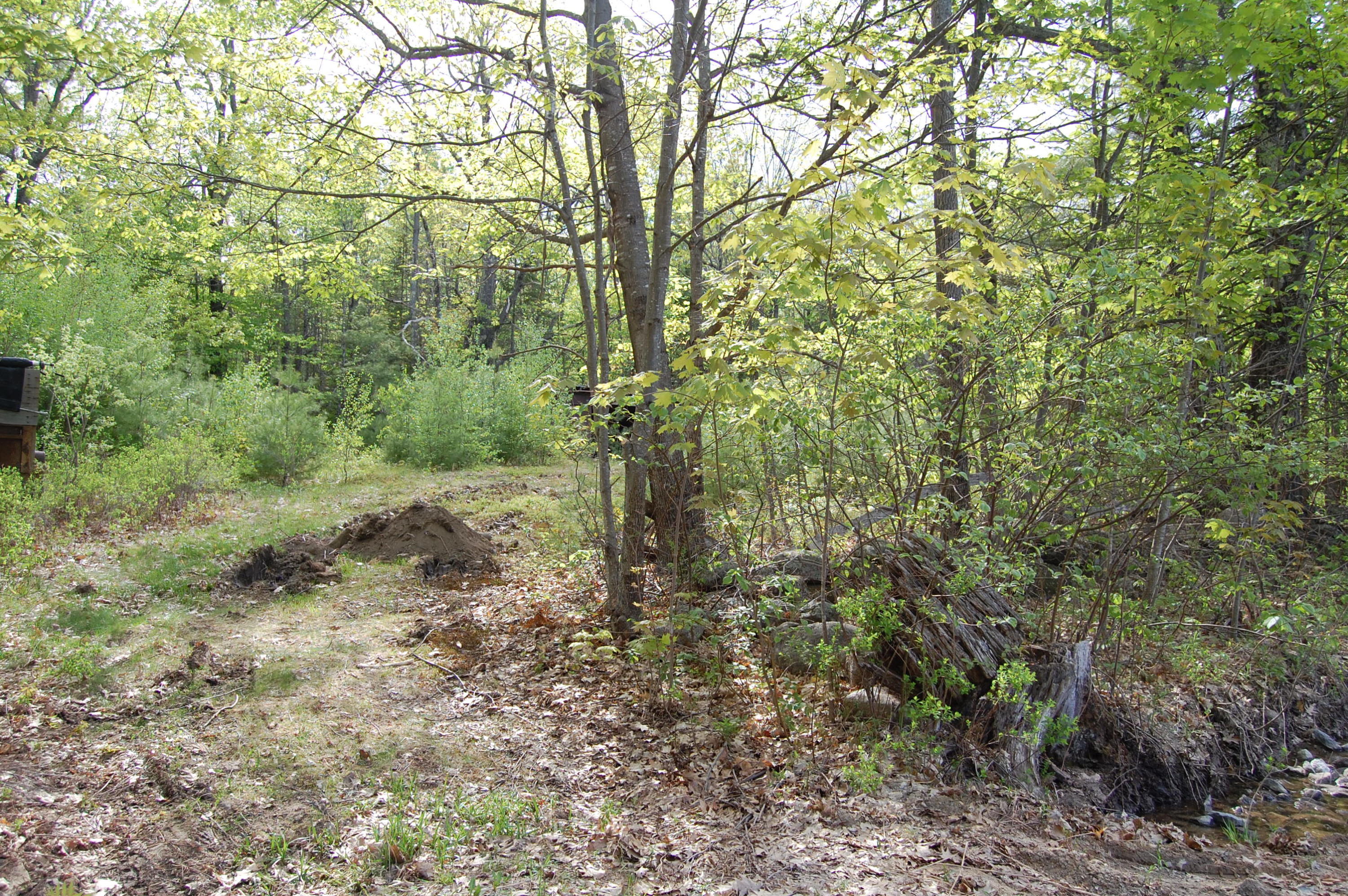 Lot A Cobb Hill Road Otisfield, ME 04270 - Photo 6 of 10 DSC_1016