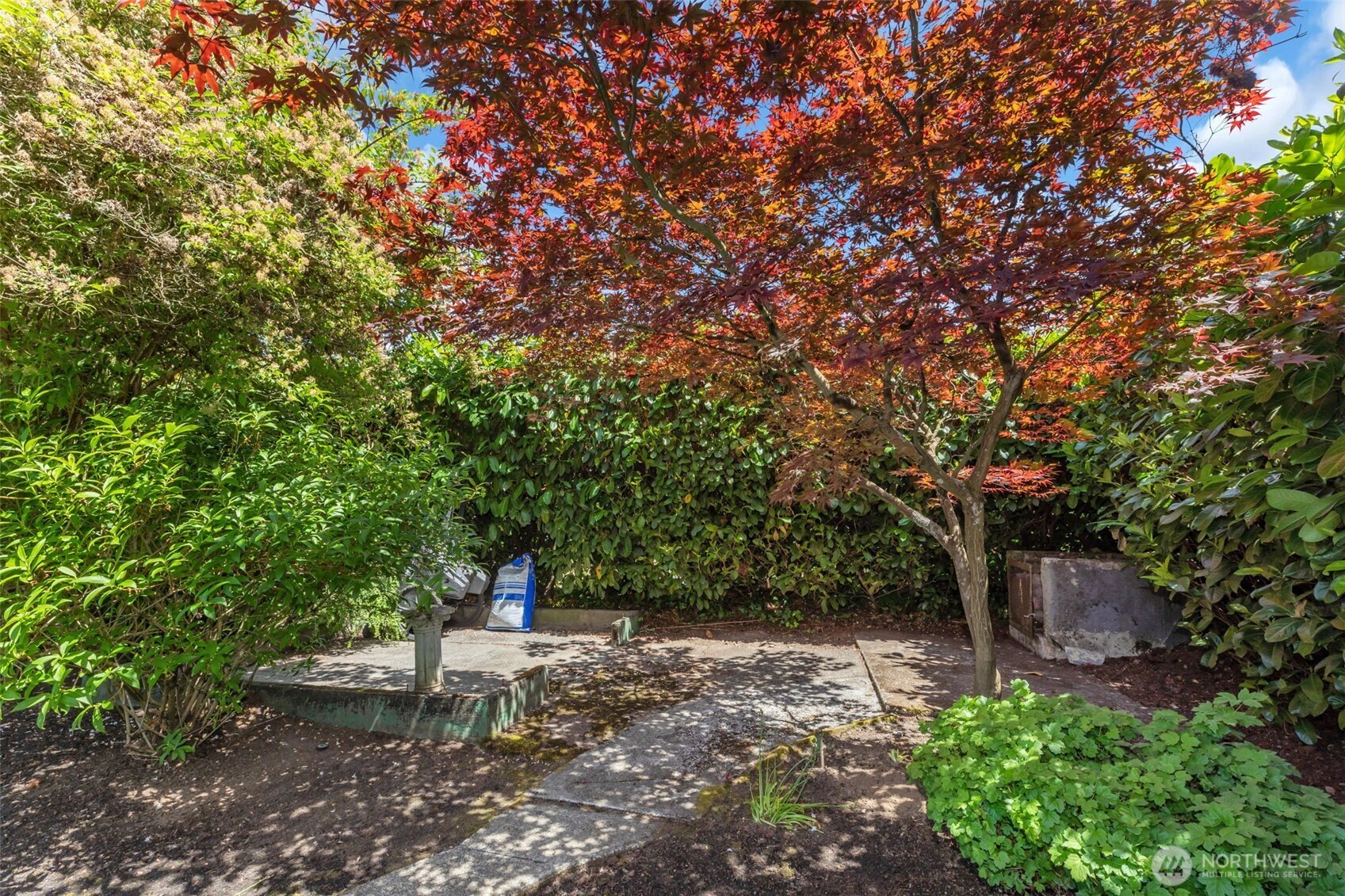 804 Electron Way Fircrest, WA 98466 - Photo 33 of 37 a view of a tree in the middle of a yard