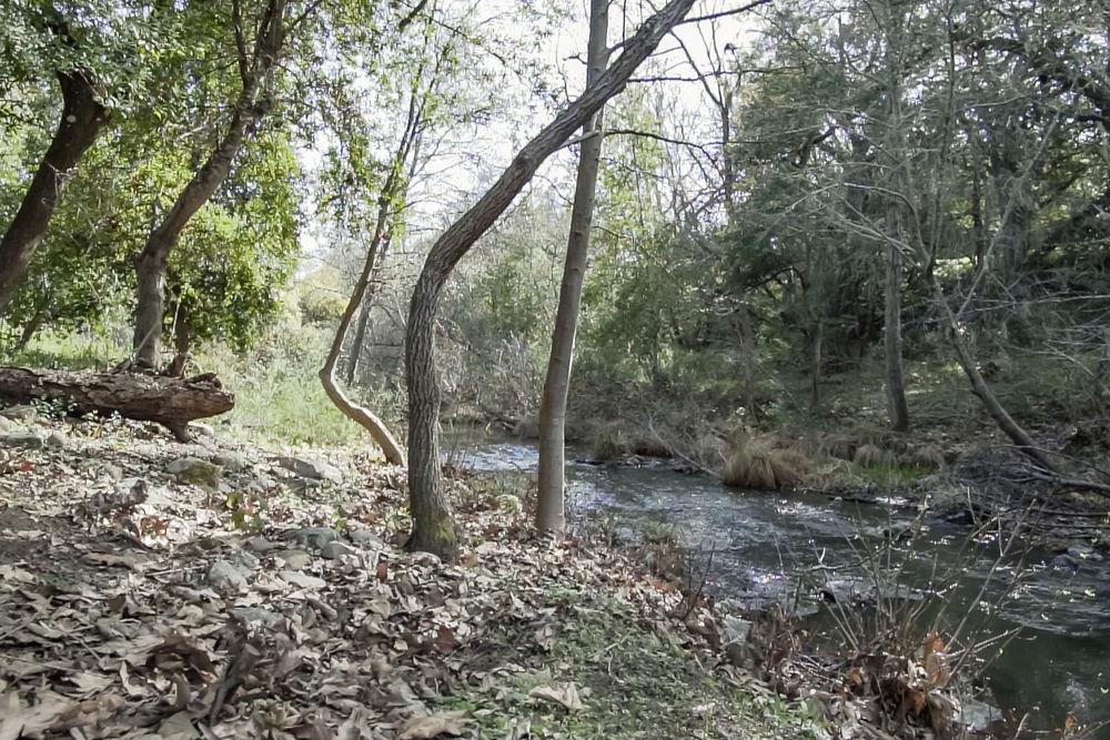 10555 Watsonville Road Gilroy, CA 95020 - Photo 46 of 79