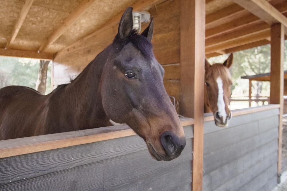 10555 Watsonville Road Gilroy, CA 95020 - Photo 67 of 79