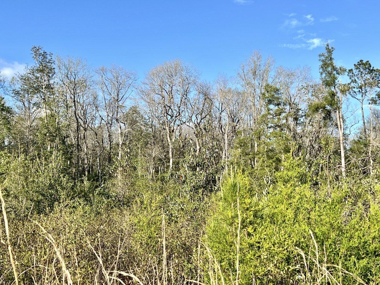 0 James Stacy Lane Stapleton, AL 36578 - Photo 6 of 13