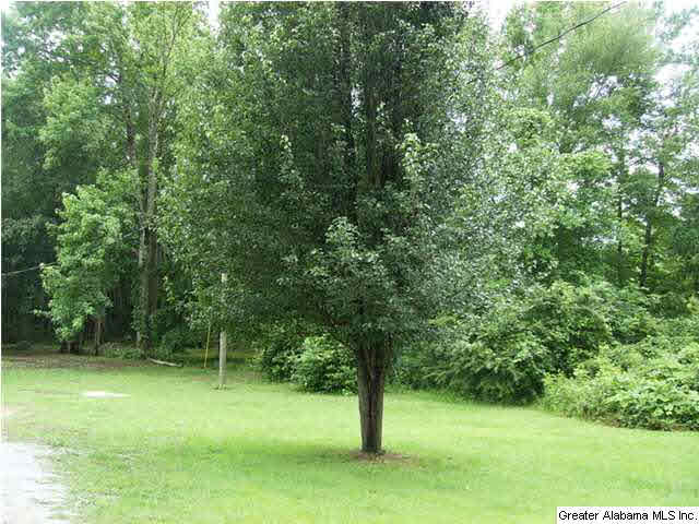 1250 County Road 152 Jemison, AL 35085 - Photo 22 of 22