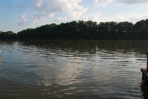 7655 Sugarlimb Road Loudon, TN 37774 - Photo 13 of 32 Additional Photo