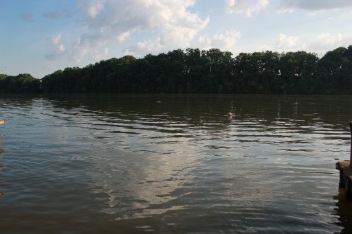 7655 Sugarlimb Road Loudon, TN 37774 - Photo 5 of 32 Additional Photo