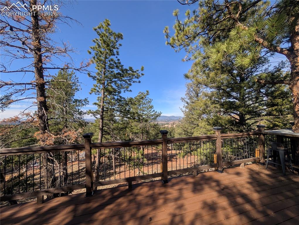 1176 Trail Creek Road Lake George, CO 80827 - Photo 3 of 34