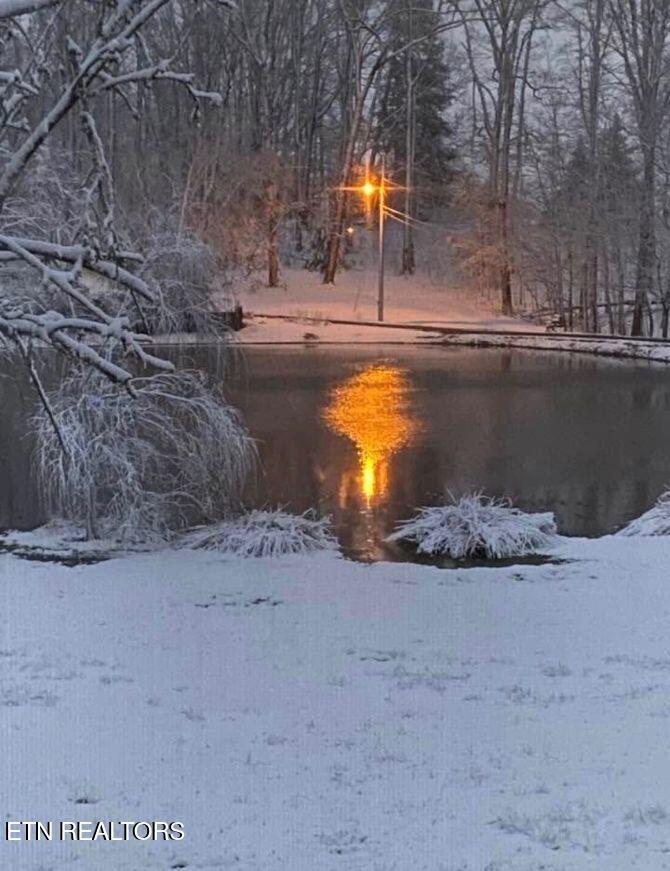 8418 Coppock Road Corryton, TN 37721 - Photo 37 of 42 3