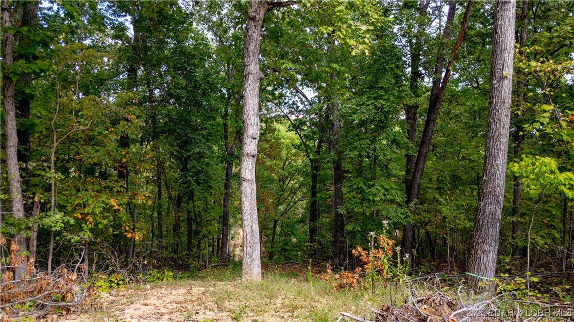 29931 Evans Road Rocky Mount, MO 65072 - Photo 24 of 26