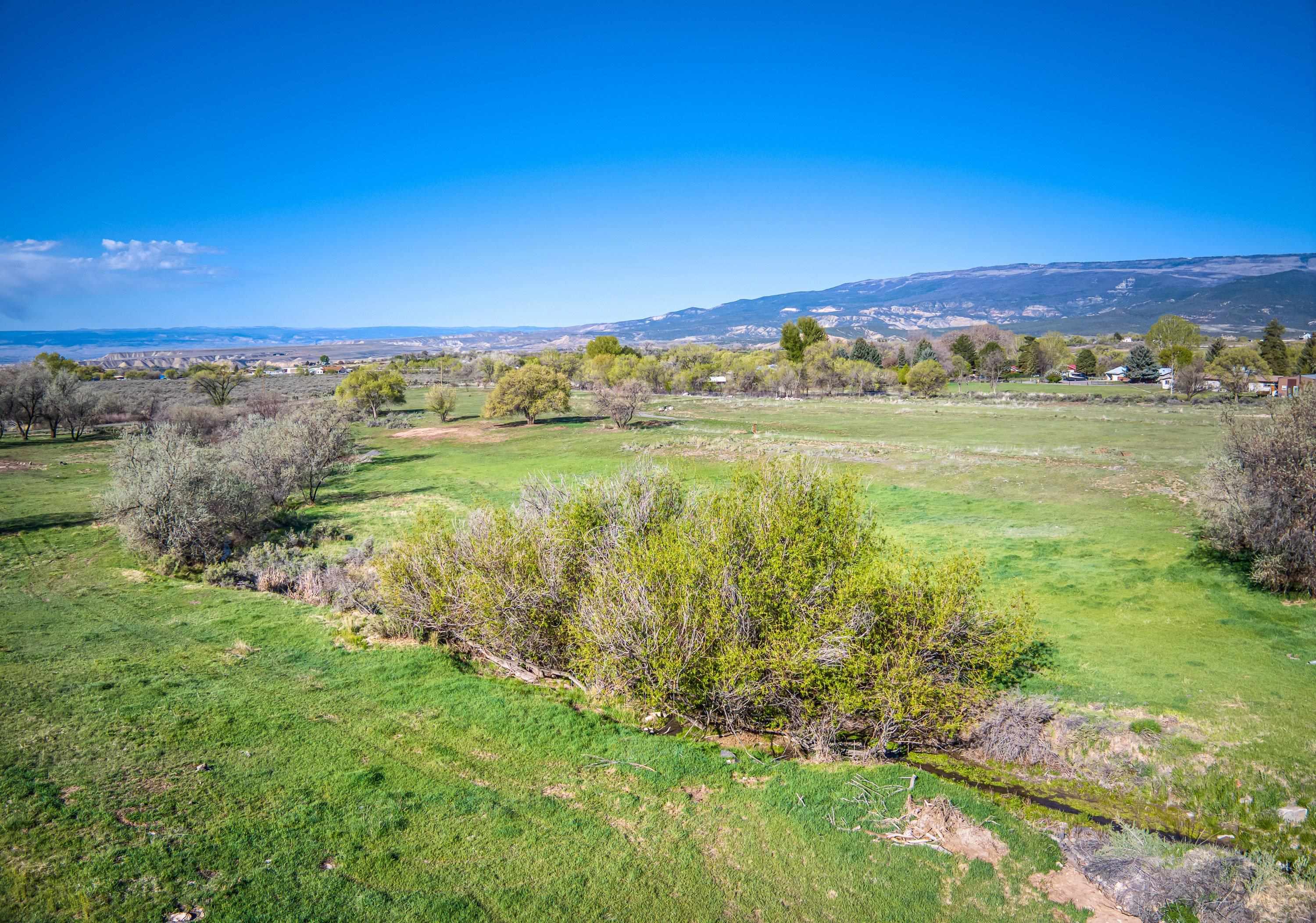 1010 Southwest 11th Avenue Cedaredge, CO 81413 - Photo 11 of 28