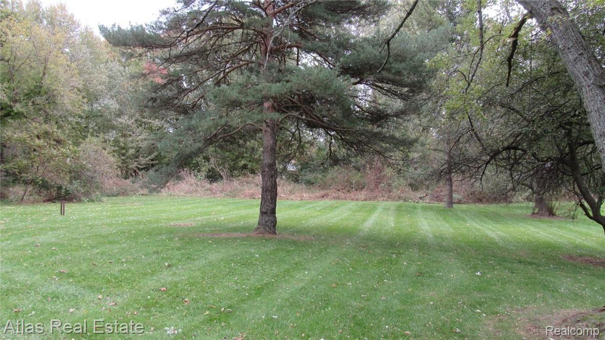 8089 Holly Road Grand Blanc, MI 48439 - Photo 7 of 23 IMG_0508.JPG