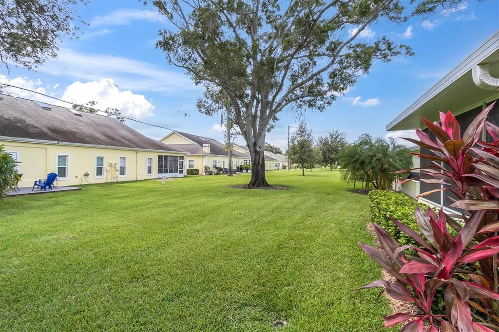 2828 Sherbrooke Lane, Unit C Palm Harbor, FL 34684 - Photo 19 of 40 a view of an house with backyard space and tree