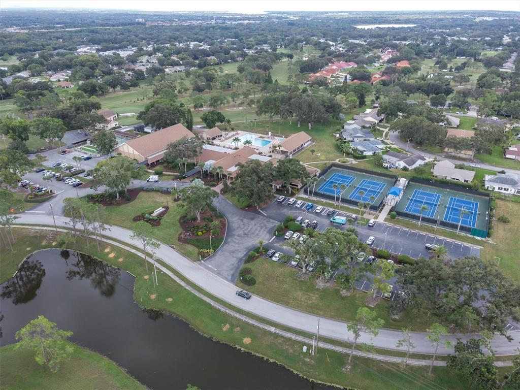 2828 Sherbrooke Lane, Unit C Palm Harbor, FL 34684 - Photo 29 of 40 an aerial view of lake residential house with swimming pool
