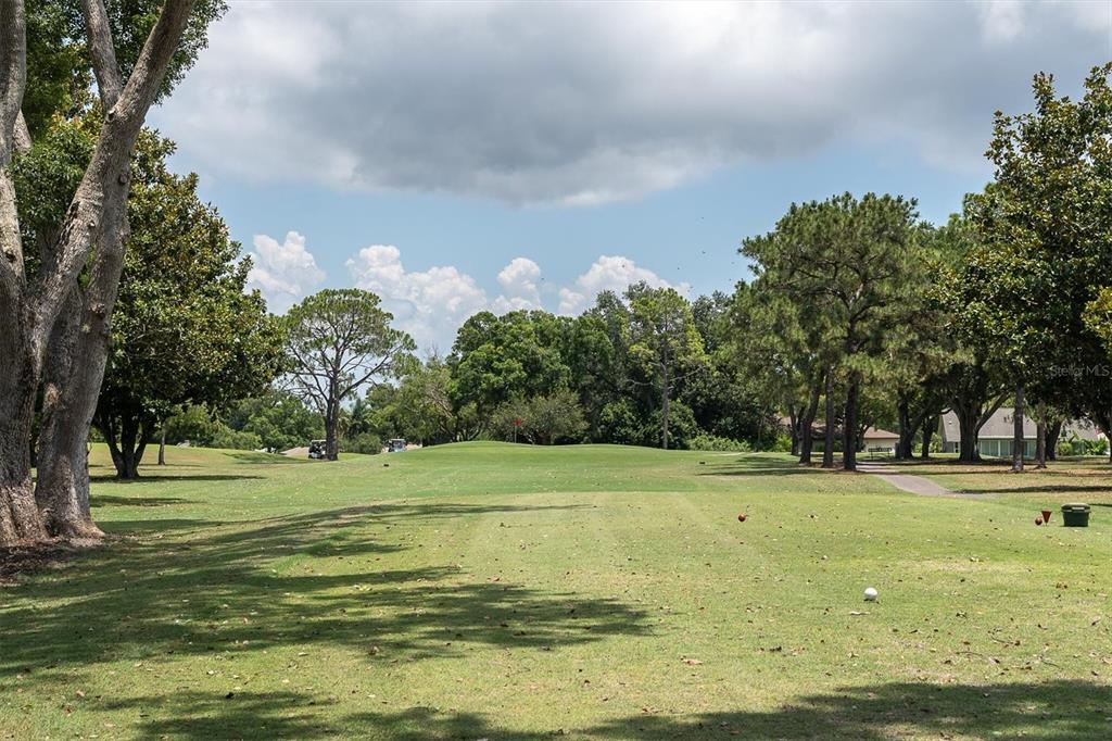 2828 Sherbrooke Lane, Unit C Palm Harbor, FL 34684 - Photo 39 of 40 a view of a trees in a field of grass and trees