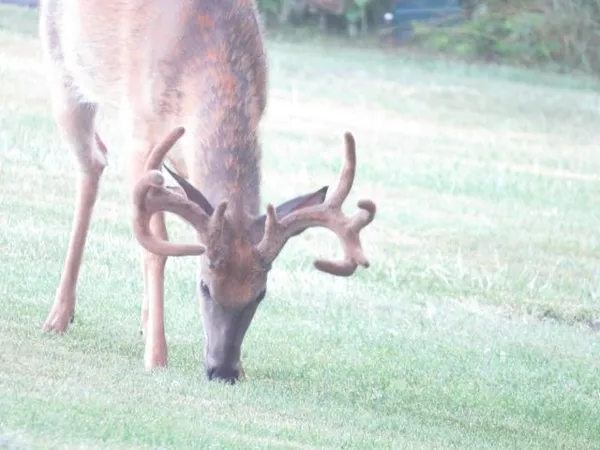 $260,000 | 20 A Sandusky, Hillpoint, WI 53937