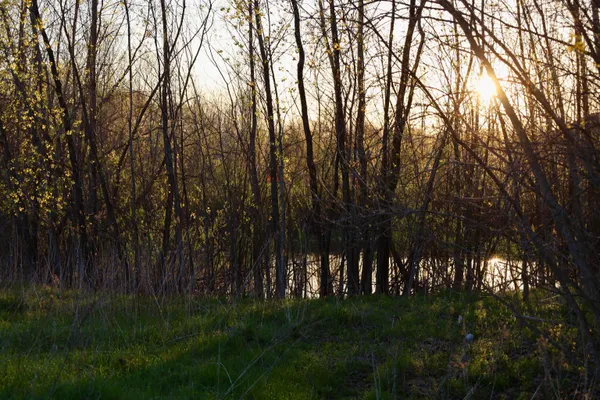 $1,120,000 | Tbd Blueberry Lane, Waldo, WI 53093