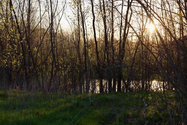 $1,120,000 | Tbd Blueberry Lane, Waldo, WI 53093