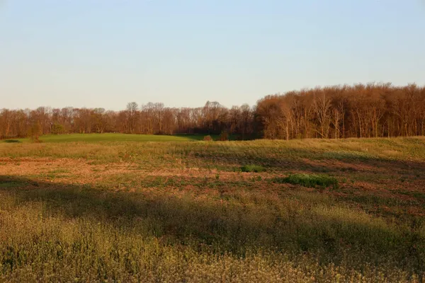 $1,120,000 | Tbd Blueberry Lane, Waldo, WI 53093