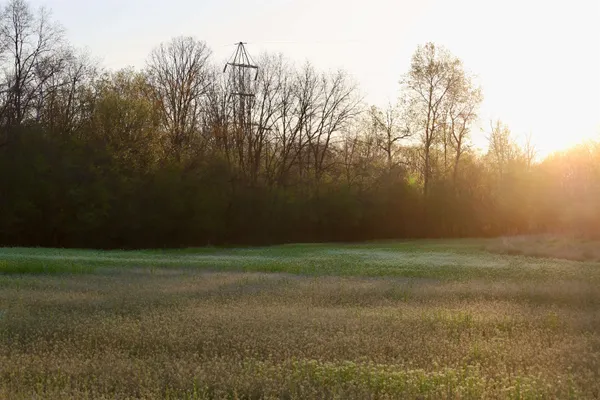 $1,120,000 | Tbd Blueberry Lane, Waldo, WI 53093