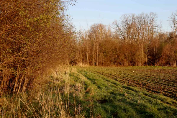 $1,120,000 | Tbd Blueberry Lane, Waldo, WI 53093