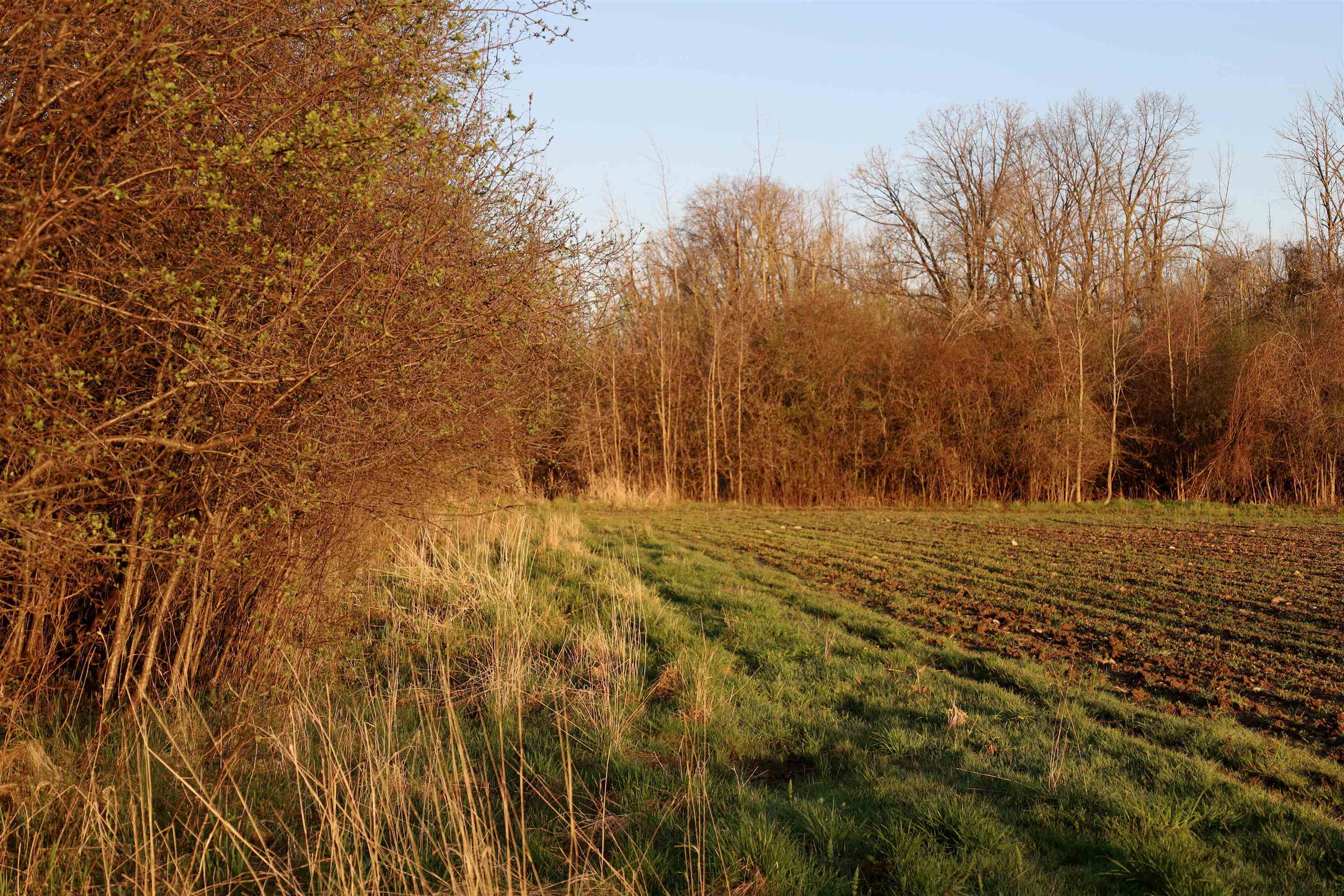 Tbd Blueberry Lane Waldo, WI 53093 - Photo 26 of 56