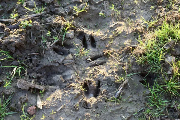 $1,120,000 | Tbd Blueberry Lane, Waldo, WI 53093