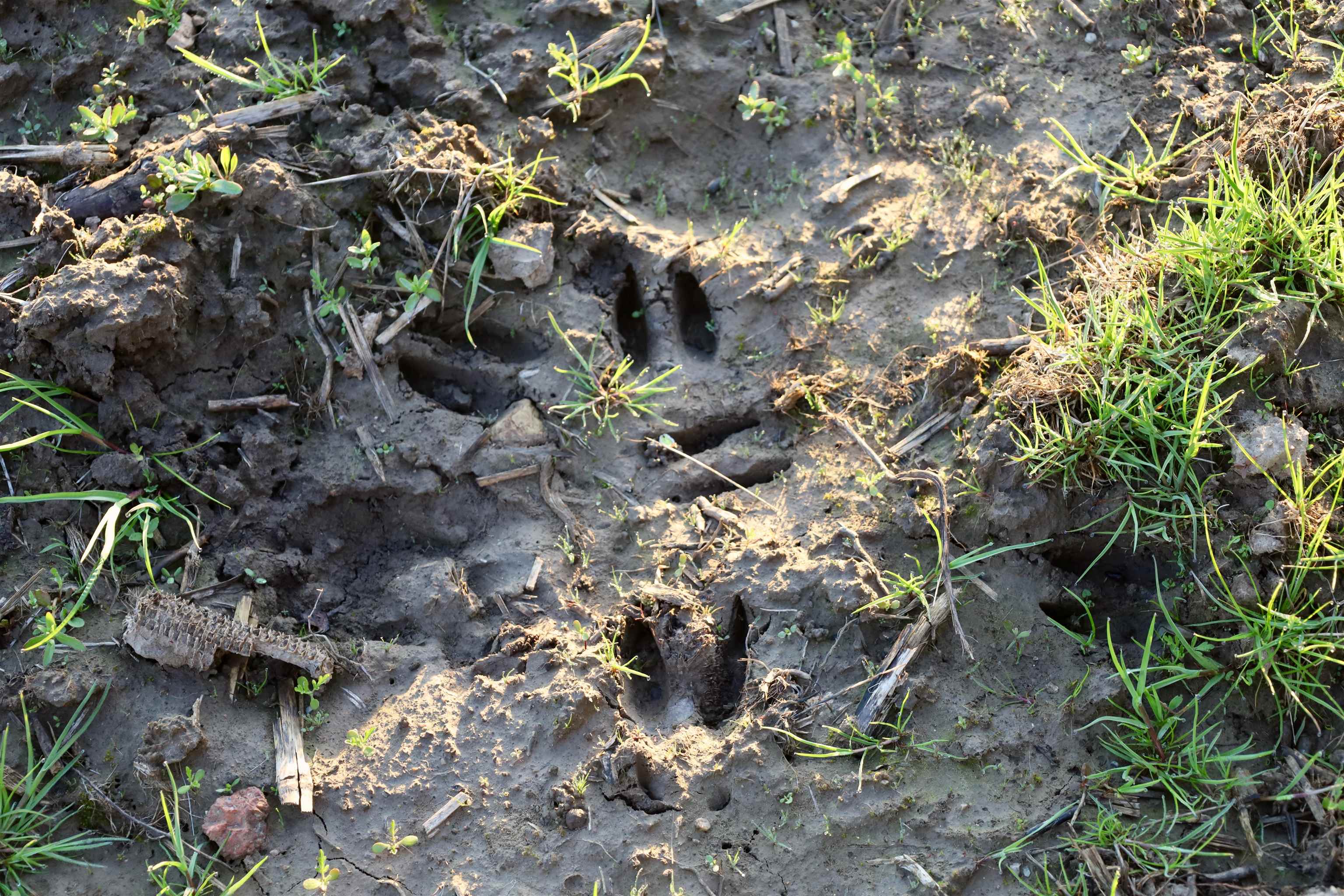Tbd Blueberry Lane Waldo, WI 53093 - Photo 28 of 56