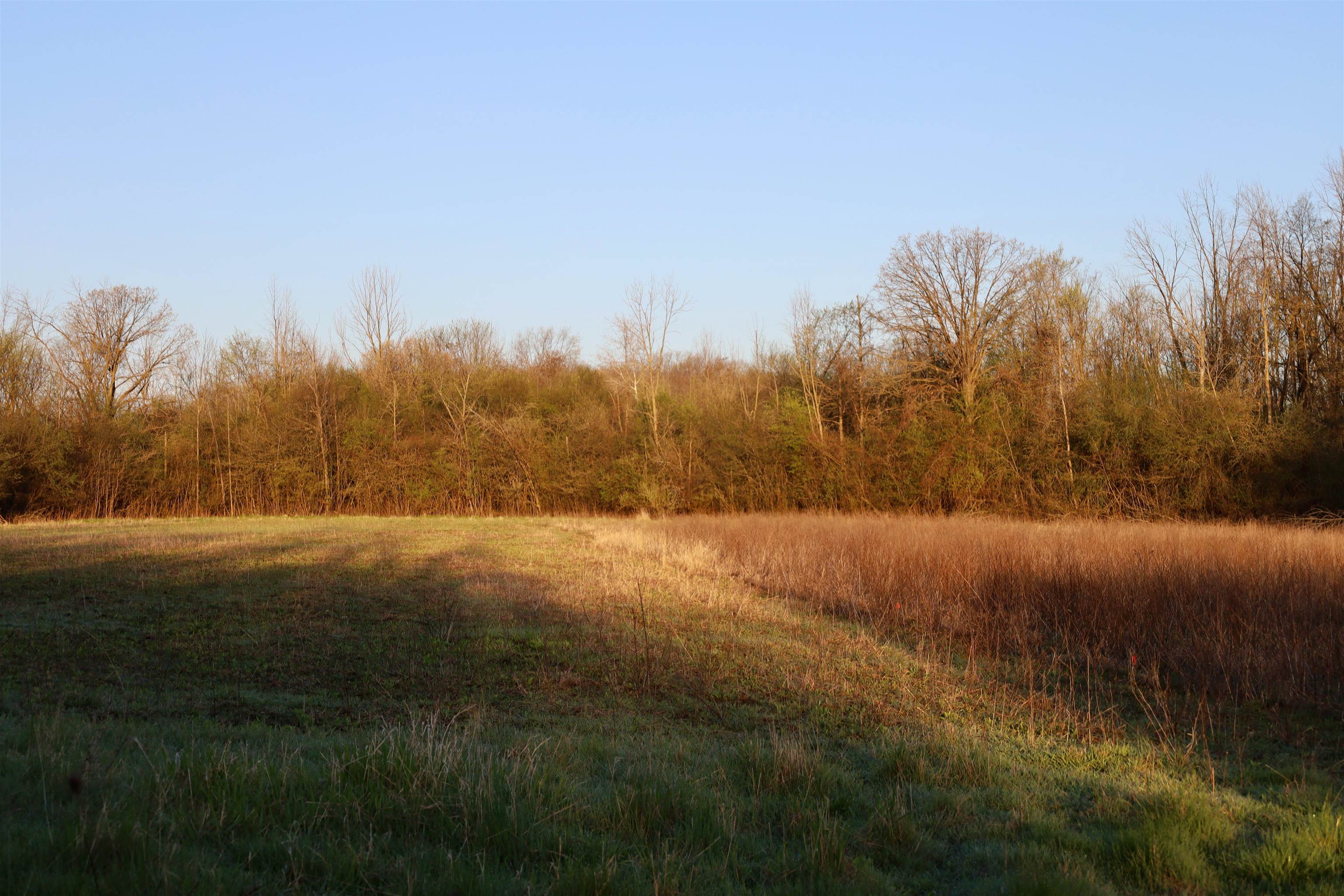 Tbd Blueberry Lane Waldo, WI 53093 - Photo 29 of 56