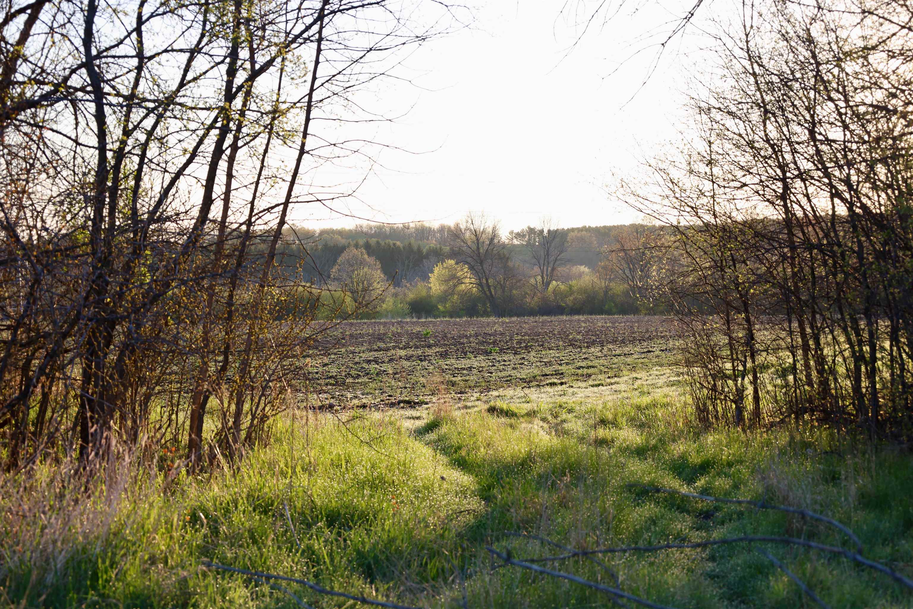 Tbd Blueberry Lane Waldo, WI 53093 - Photo 30 of 56