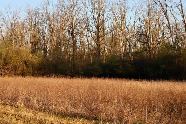 $1,120,000 | Tbd Blueberry Lane, Waldo, WI 53093